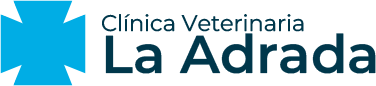Clínica Veterinaria La Adrada en Ávila